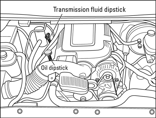 Things to Keep in Mind When Checking Your Transmission Fluid Levels